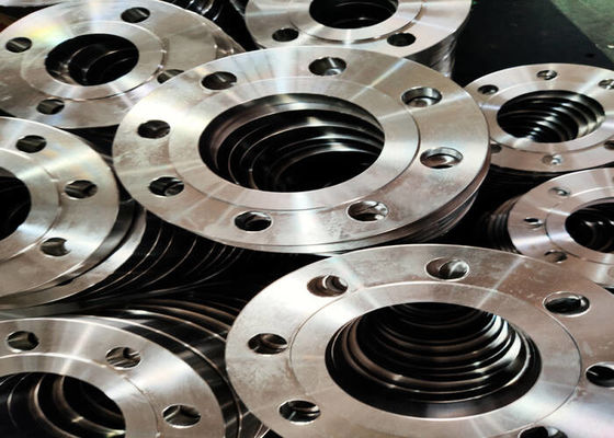 DIN2545 Forged Stainless Steel Flange