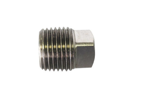 Hydraulic SS316 BS21 DIN2999 Threaded Pipe Plug